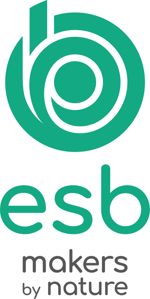 Logo de l'ESB