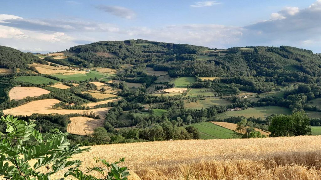 Photo d'une colline des Monts du Lyonnais