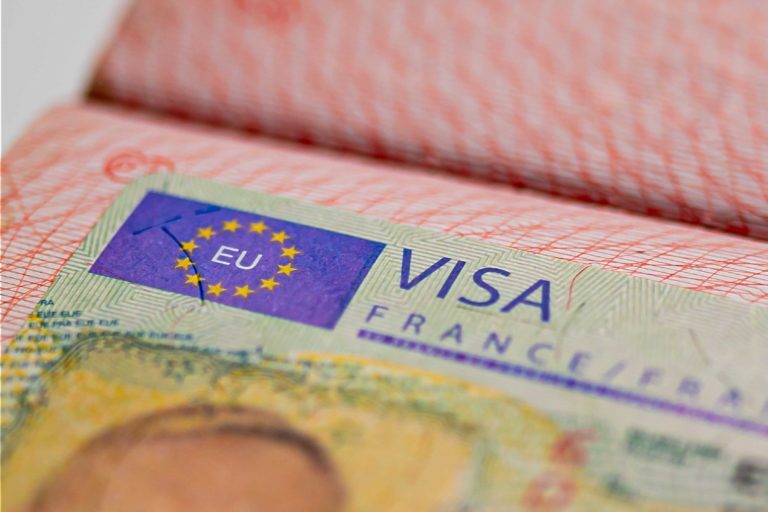 Logo européen dans un passport français